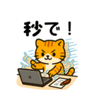 ばんがいアニマル｜ねこ_ギャル語編（個別スタンプ：16）