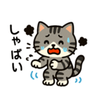 ばんがいアニマル｜ねこ_ギャル語編（個別スタンプ：24）