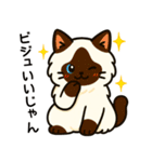 ばんがいアニマル｜ねこ_ギャル語編（個別スタンプ：26）