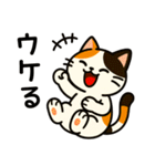 ばんがいアニマル｜ねこ_ギャル語編（個別スタンプ：31）