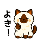 ばんがいアニマル｜ねこ_ギャル語編（個別スタンプ：32）