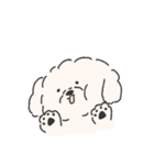 ほんわかころん（個別スタンプ：5）