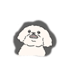 ほんわかころん（個別スタンプ：10）