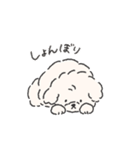 ほんわかころん（個別スタンプ：16）