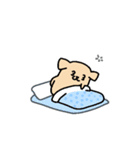 田舎の犬. チョング：ムリムリ（個別スタンプ：22）
