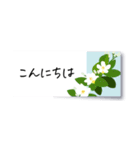 花の付箋＊ひとこと挨拶スタンプ（個別スタンプ：3）