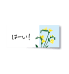 花の付箋＊ひとこと挨拶スタンプ（個別スタンプ：9）