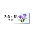 花の付箋＊ひとこと挨拶スタンプ（個別スタンプ：12）