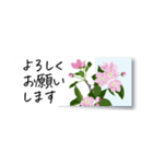 花の付箋＊ひとこと挨拶スタンプ（個別スタンプ：15）