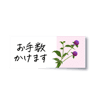 花の付箋＊ひとこと挨拶スタンプ（個別スタンプ：17）