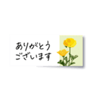 花の付箋＊ひとこと挨拶スタンプ（個別スタンプ：19）