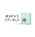 花の付箋＊ひとこと挨拶スタンプ（個別スタンプ：20）
