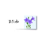 花の付箋＊ひとこと挨拶スタンプ（個別スタンプ：37）