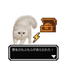 もふもふクエスト（ペルシャ猫の冒険）（個別スタンプ：2）