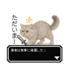 もふもふクエスト（ペルシャ猫の冒険）（個別スタンプ：8）