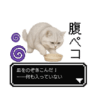 もふもふクエスト（ペルシャ猫の冒険）（個別スタンプ：10）