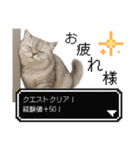 もふもふクエスト（ペルシャ猫の冒険）（個別スタンプ：12）