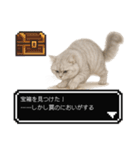 もふもふクエスト（ペルシャ猫の冒険）（個別スタンプ：15）