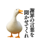 【煽る】リアルなアヒル＠ずっと使える（個別スタンプ：15）