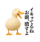 【煽る】リアルなアヒル＠ずっと使える（個別スタンプ：30）
