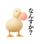 【煽る】リアルなアヒル＠ずっと使える（個別スタンプ：35）