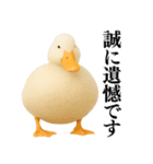 【煽る】リアルなアヒル＠ずっと使える（個別スタンプ：40）