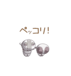 トトロンとポンチャ（個別スタンプ：13）