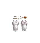 トトロンとポンチャ（個別スタンプ：22）