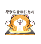 ランラン猫 72 (台湾版)（個別スタンプ：3）