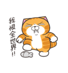 ランラン猫 72 (台湾版)（個別スタンプ：12）