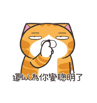 ランラン猫 72 (台湾版)（個別スタンプ：14）