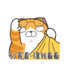 ランラン猫 72 (台湾版)（個別スタンプ：23）