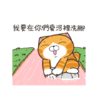 ランラン猫 72 (台湾版)（個別スタンプ：24）