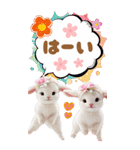 可愛い子ヤギ 毎日使える 吹き出し BIG（個別スタンプ：2）