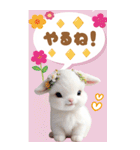 可愛い子ヤギ 毎日使える 吹き出し BIG（個別スタンプ：16）