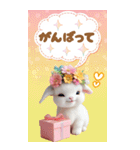 可愛い子ヤギ 毎日使える 吹き出し BIG（個別スタンプ：21）