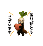 動く！野菜フルーツレッサーパンダ（個別スタンプ：6）