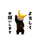 動く！野菜フルーツレッサーパンダ（個別スタンプ：9）