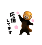 動く！野菜フルーツレッサーパンダ（個別スタンプ：15）