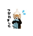 動く！野菜フルーツレッサーパンダ（個別スタンプ：18）