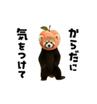 動く！野菜フルーツレッサーパンダ（個別スタンプ：19）