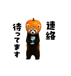 動く！野菜フルーツレッサーパンダ（個別スタンプ：20）