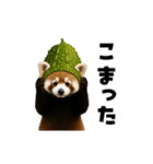 動く！野菜フルーツレッサーパンダ（個別スタンプ：22）