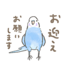 セキセイインコの家族スタンプ（個別スタンプ：10）