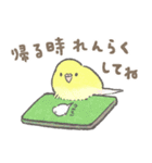 セキセイインコの家族スタンプ（個別スタンプ：11）