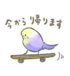 セキセイインコの家族スタンプ（個別スタンプ：12）