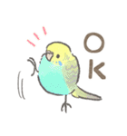 セキセイインコの家族スタンプ（個別スタンプ：13）