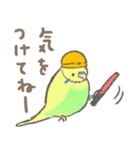 セキセイインコの家族スタンプ（個別スタンプ：15）