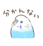 セキセイインコの家族スタンプ（個別スタンプ：18）