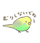 セキセイインコの家族スタンプ（個別スタンプ：21）